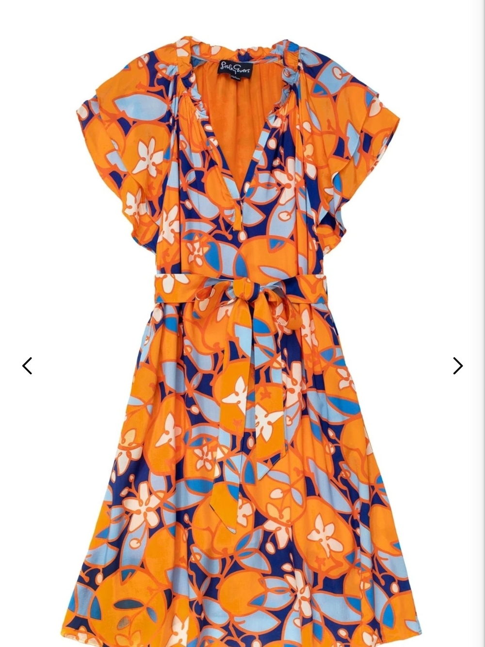 LESLEY EVERS MATILDA DRESS (NWOT)